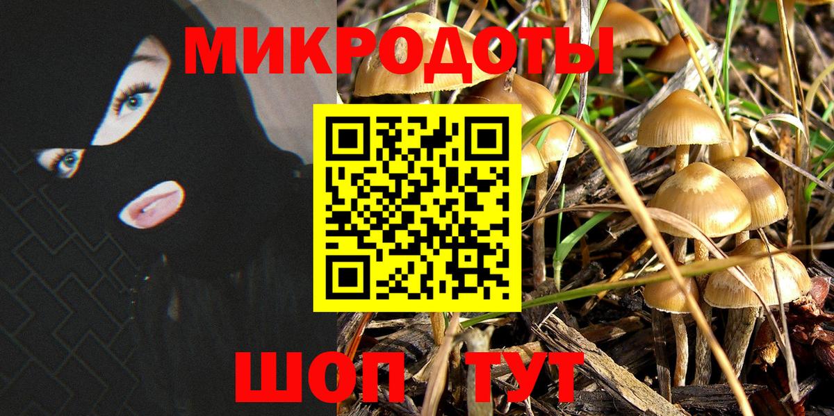 Псилоцибиновые грибы Magic Shrooms  купить наркотик  Конаково  Вход с VPN  Галлюциногенные грибы ЛСД 